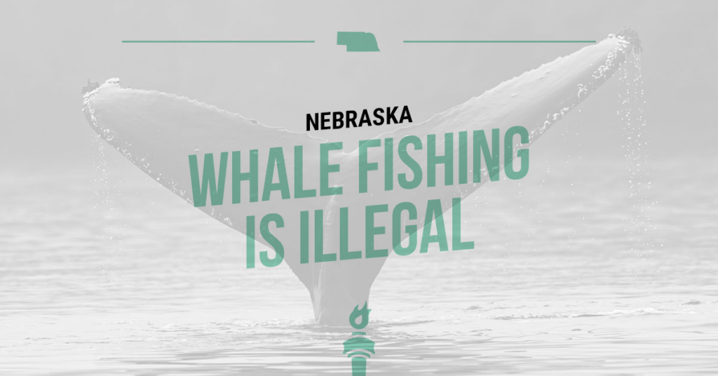 Weird Law Wednesday Nebraska whale fishing