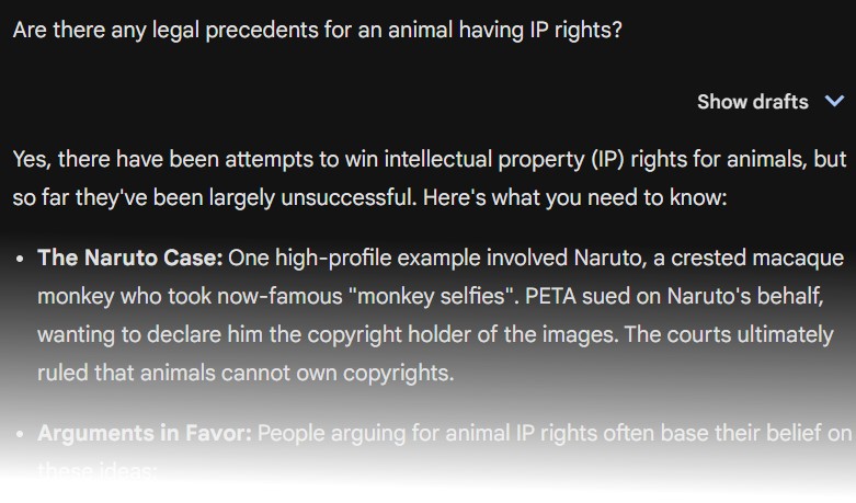 Gemini legal precedents for animals