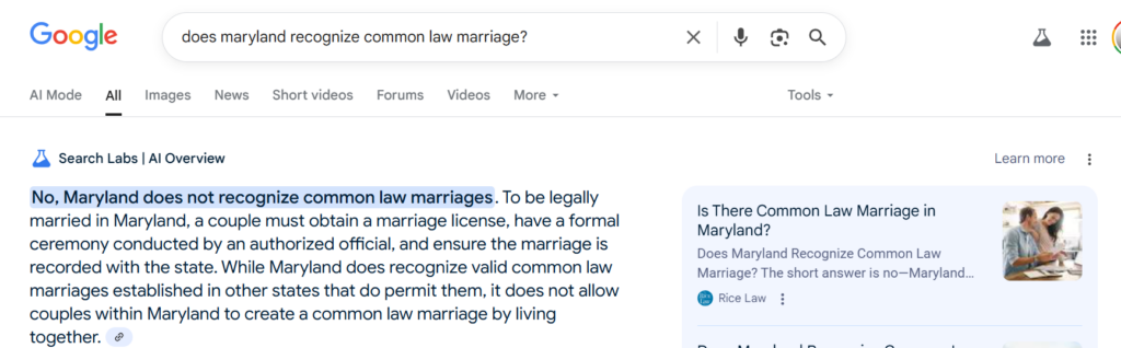 rice law ai overview result