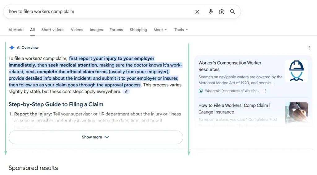 AI Overview Screenshot