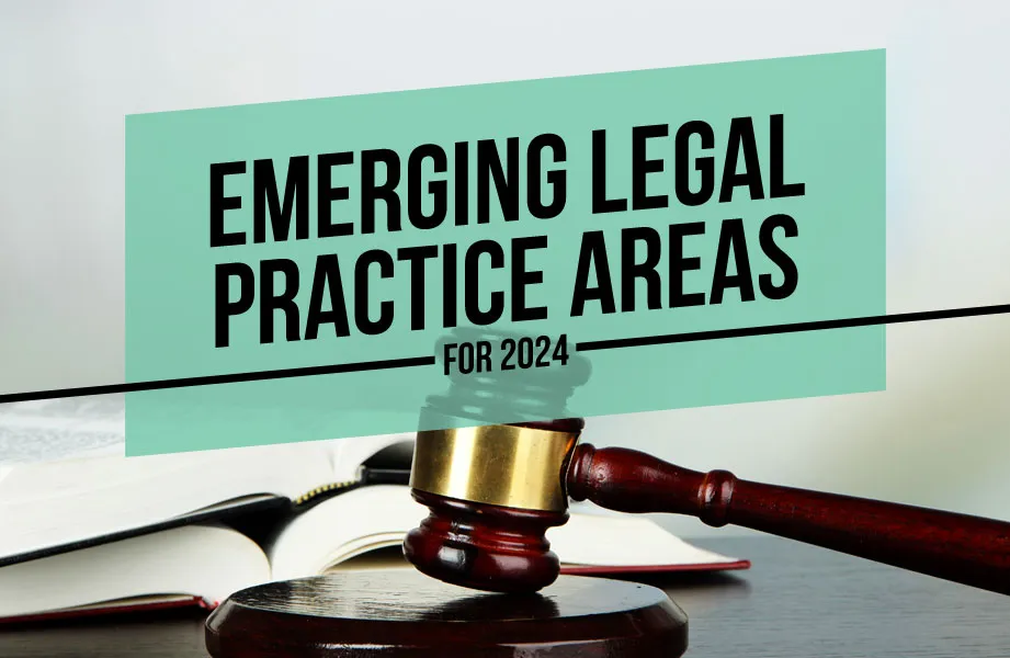 Emerging Legal Practice Areas for 2024