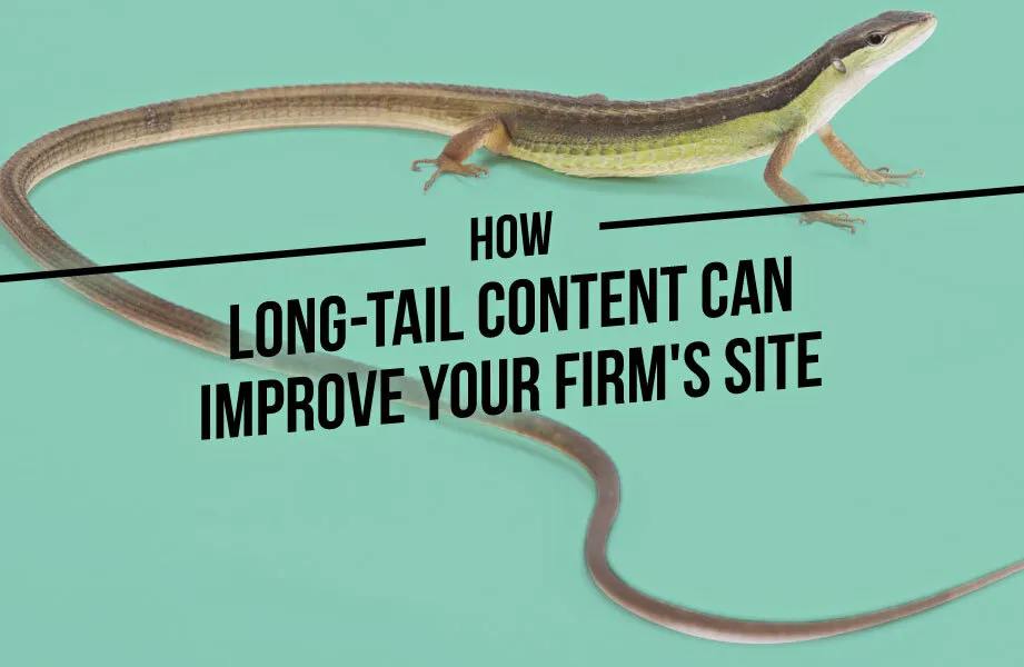 Mint Green Background with Long-Tail Lizard and Black How Long-Tail Content Can Improve Your Firm's Site Text